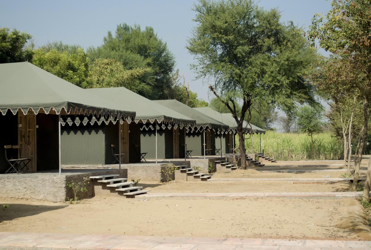 Kanota Camp Hotel Dźajpur Zewnętrze zdjęcie